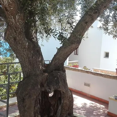Azzurro Mare דירה *