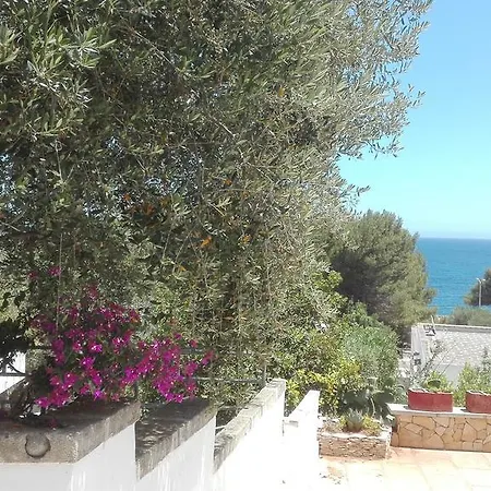 Azzurro Mare אנדרנו
